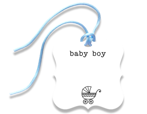 baby boy gift tag - the gifted tag